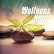 Wellness Hour, Vol. 1 on Karma Pure